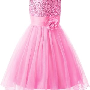 Uhnice Sequin Sleeveless Tulle Mesh Flower Girl Party Dress