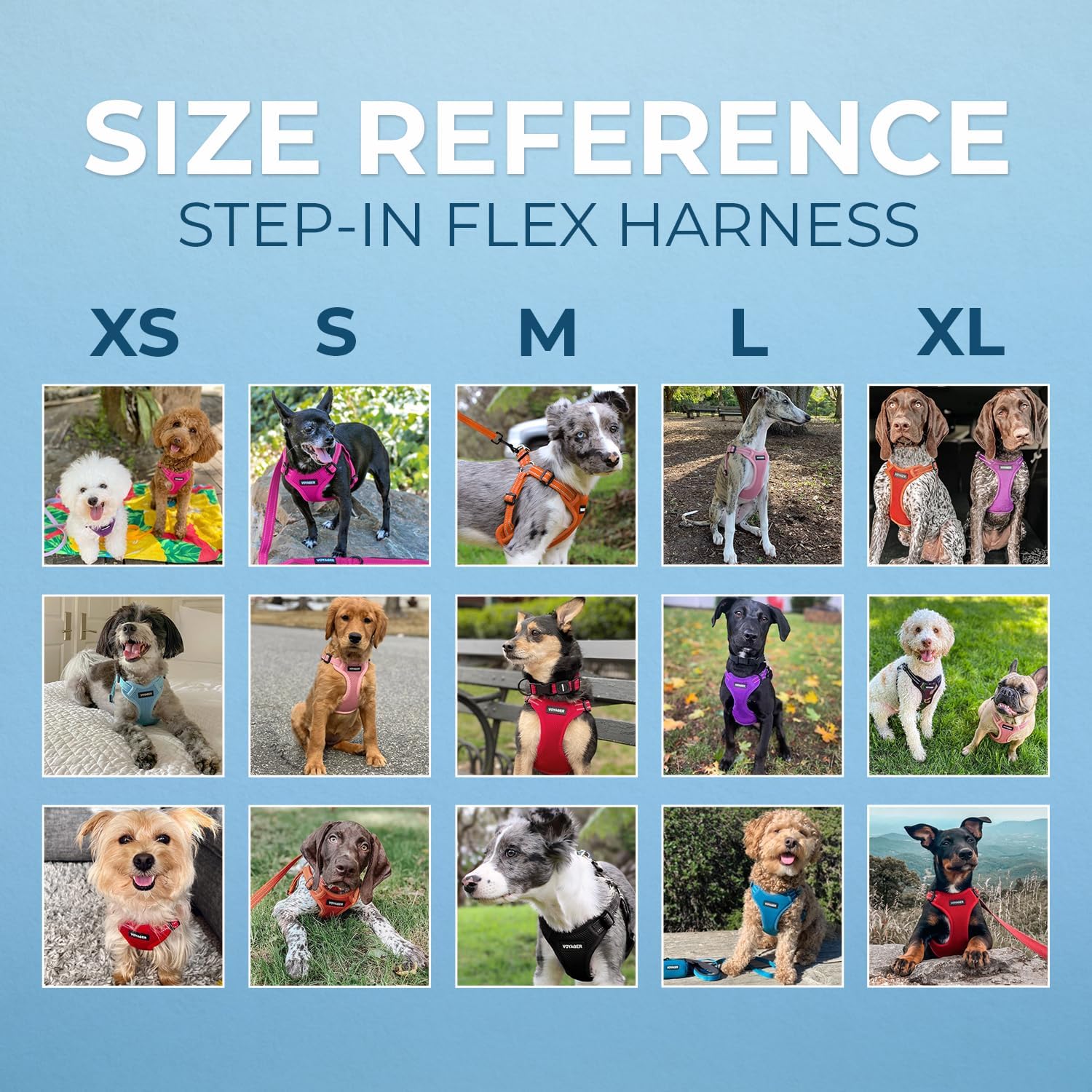 Best Pet Supplies Voyager Adjustable Step-in Flex Breathable Mesh Dog Harness for Small Medium Large Dogs Leash Set (Pink), S - Image 6