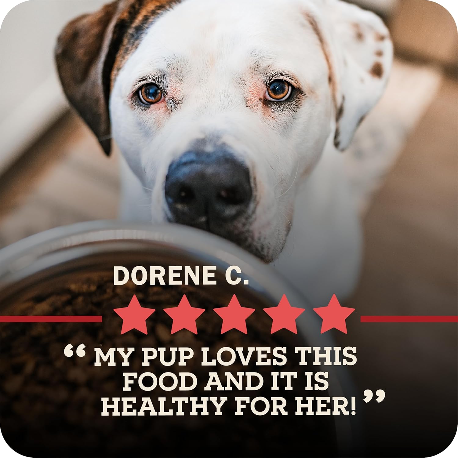 Redbarn Powerfood Air Dried Dog Food Lamb & Fish Recipe 2 lbs - High Protein Skin & Coat Support with Omega-3s Natural Premium Dry Food for Adult Dogs Made in USA - Image 10