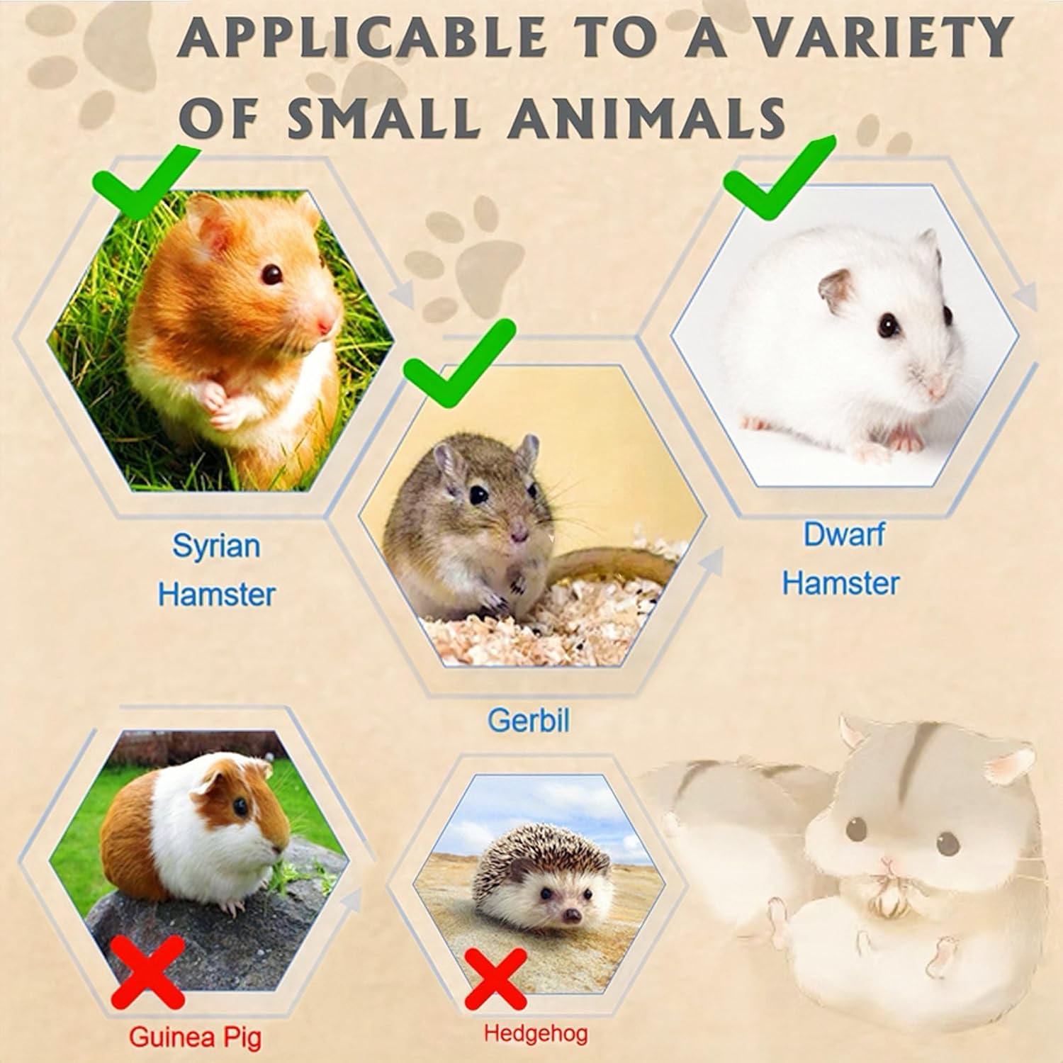 8 in 1 Acrylic Hamster Cage with All Accessories,18.5"x11.8"x14.6",2-Layer Hamster House with Full Transparent Viewing,Top Open Mouse Cage for Pet Mice,Hamster Habitat for Dwarf Hamster,Gerbils - Image 6