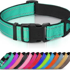 Joytale Reflective Dog Collar, Soft Neoprene Padded, Metal D-Ring, Nylon Pet Collar Adjustable for Medium Dogs, Teal, M
