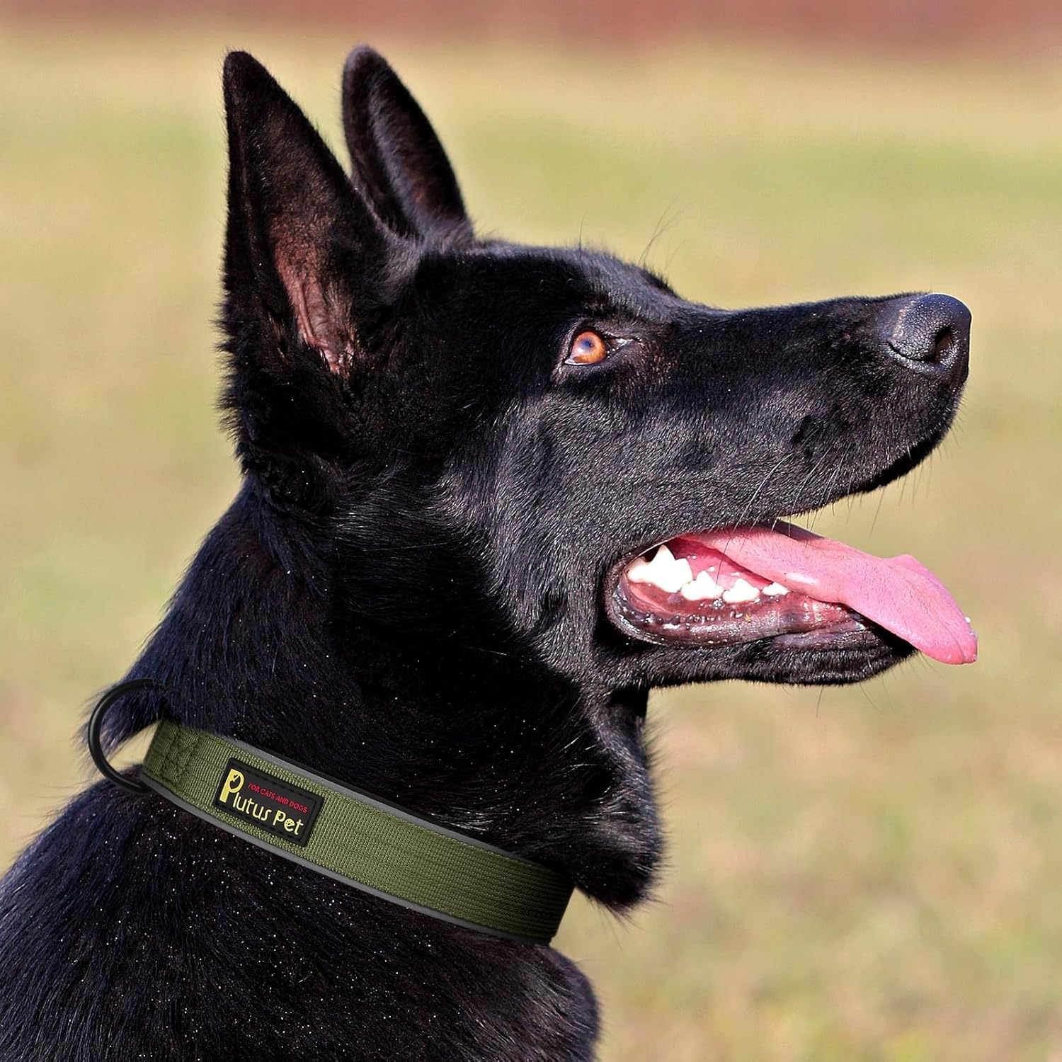 Plutus Pet Tactical Dog Collar, Reflective, Adjustable Heavy Duty Dog Collar, Soft Padded and Comfortable, for Small Medium and Large Dogs (Ranger Green, L) - Image 6