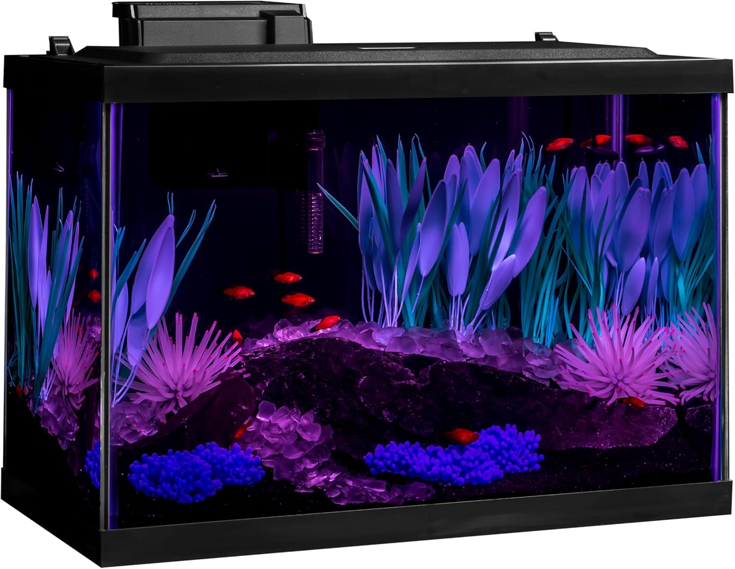 Tetra ColorFusion Aquarium 20 Gallon Fish Tank Kit, Includes LED Lighting and Decor - Image 8