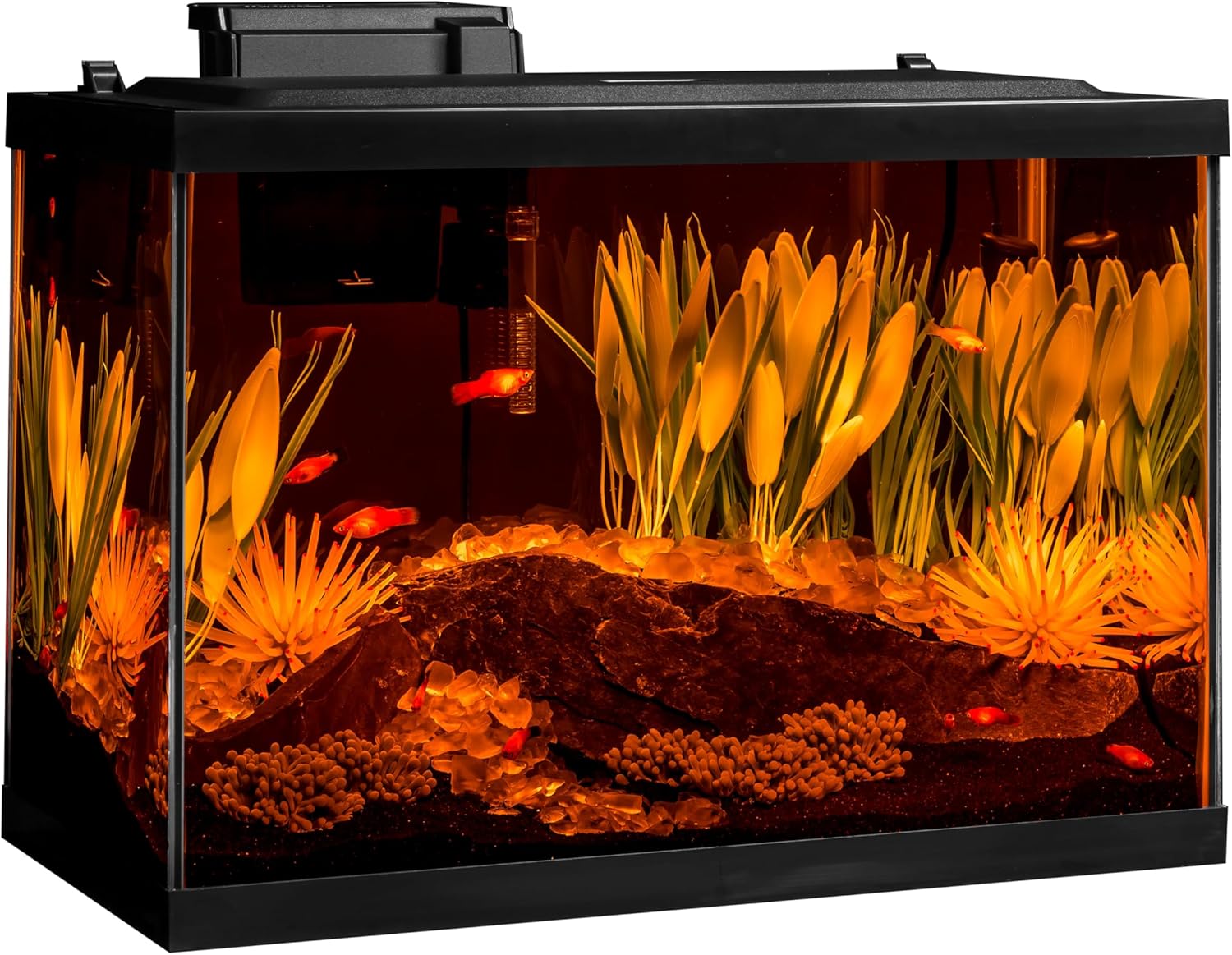 Tetra ColorFusion Aquarium 20 Gallon Fish Tank Kit, Includes LED Lighting and Decor - Image 6