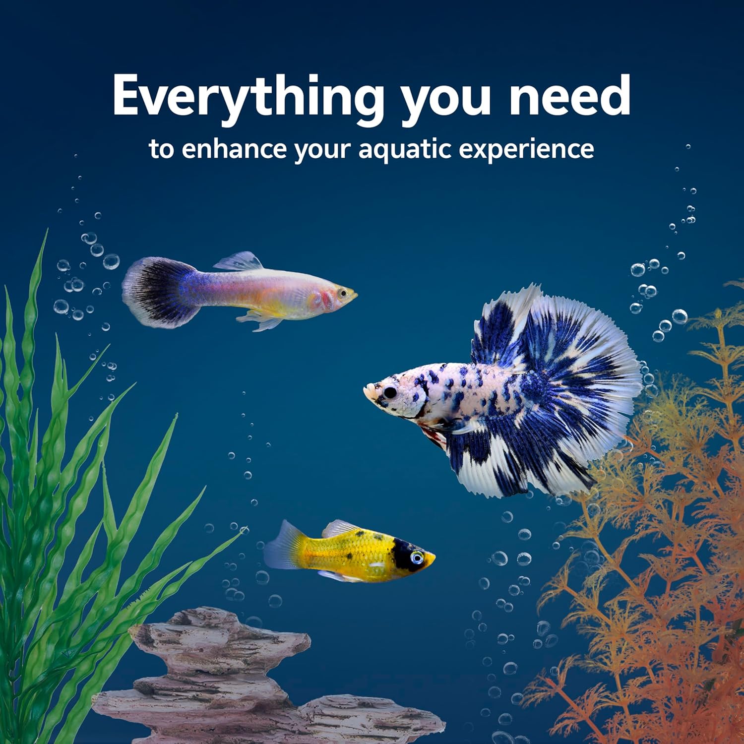 Aqueon Aquarium Starter Kit with Smart Clean Filtration and LED Lighting, Freshwater and Saltwater Fish, 20-Gallon - Image 2