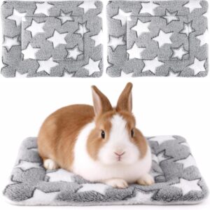 Guinea Pig Bed, 2 Pack (12×10 Inch) Soft Plush Small Animal Bed Mat, Washable Bedding Blanket Sleeping Warm Pad for Bunny, Rat, Ferret, Chinchilla