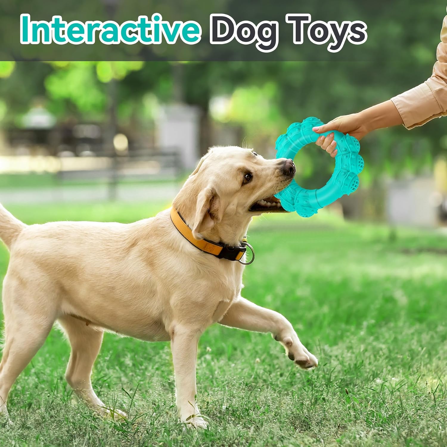 Indestructible Dog Chews - Super Duty Chew Toys for Aggressive Dogs, Puppy Teething Relief & Interactive Play - Image 7
