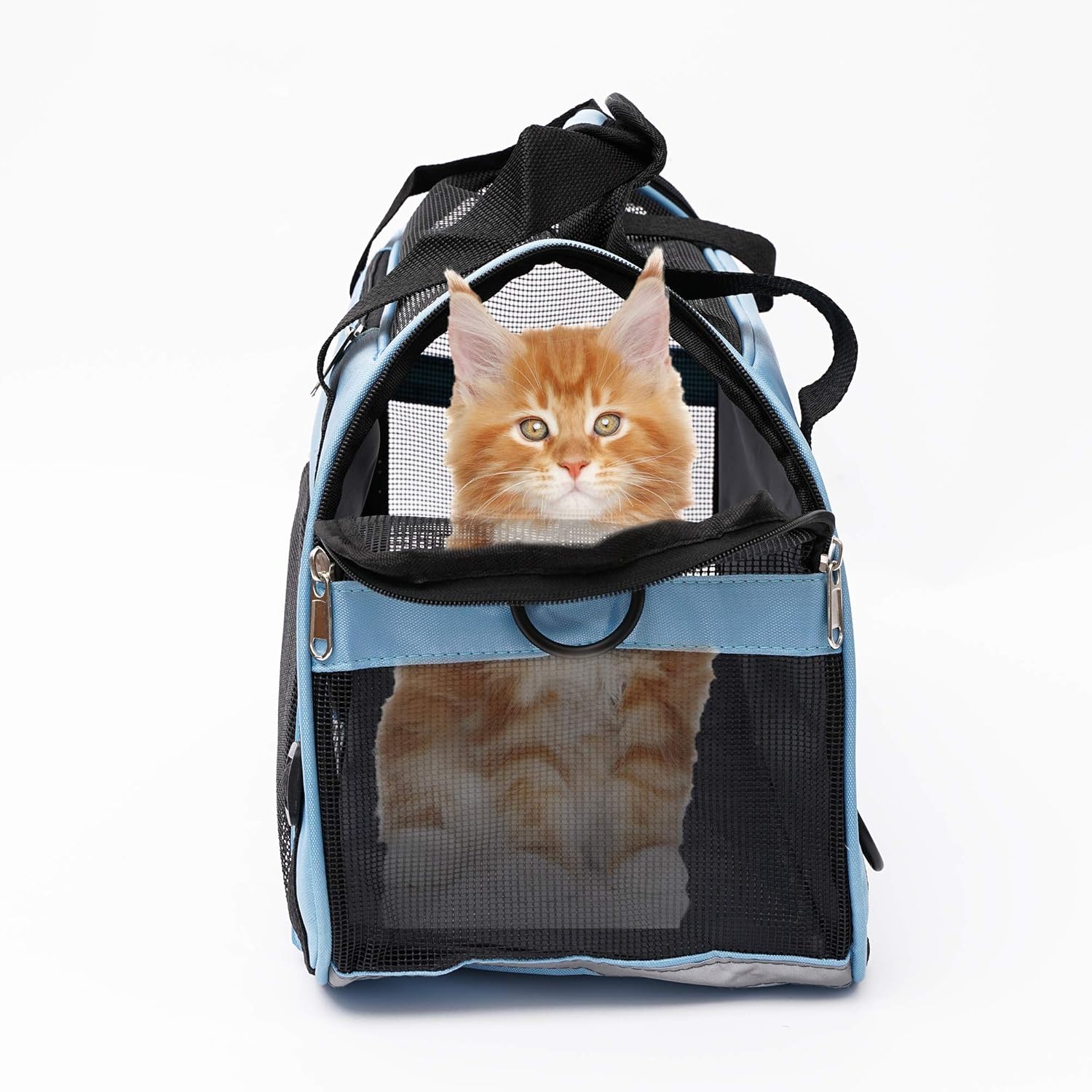 MuchL Pet Carrier Soft-Sided Carriers for Cat Carriers Dog Carrier for Small Medium Cats Dogs Puppies Pet Carrier Airline Approved Cat Dog Pet Travel Carrier (Small, Blue) - Image 2