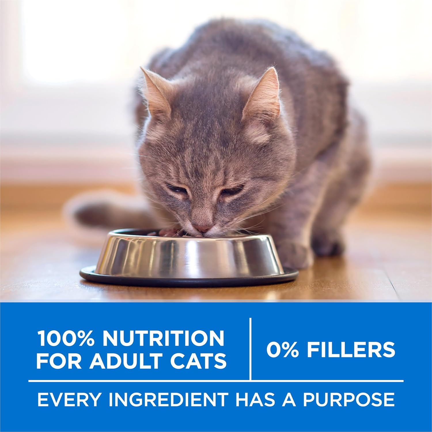 Purina ONE Plus High Protein Cat Food Dry Salmon and Ocean Whitefish Cat Skin and Coat Health Formula - 3.5 lb. Bag - Image 7