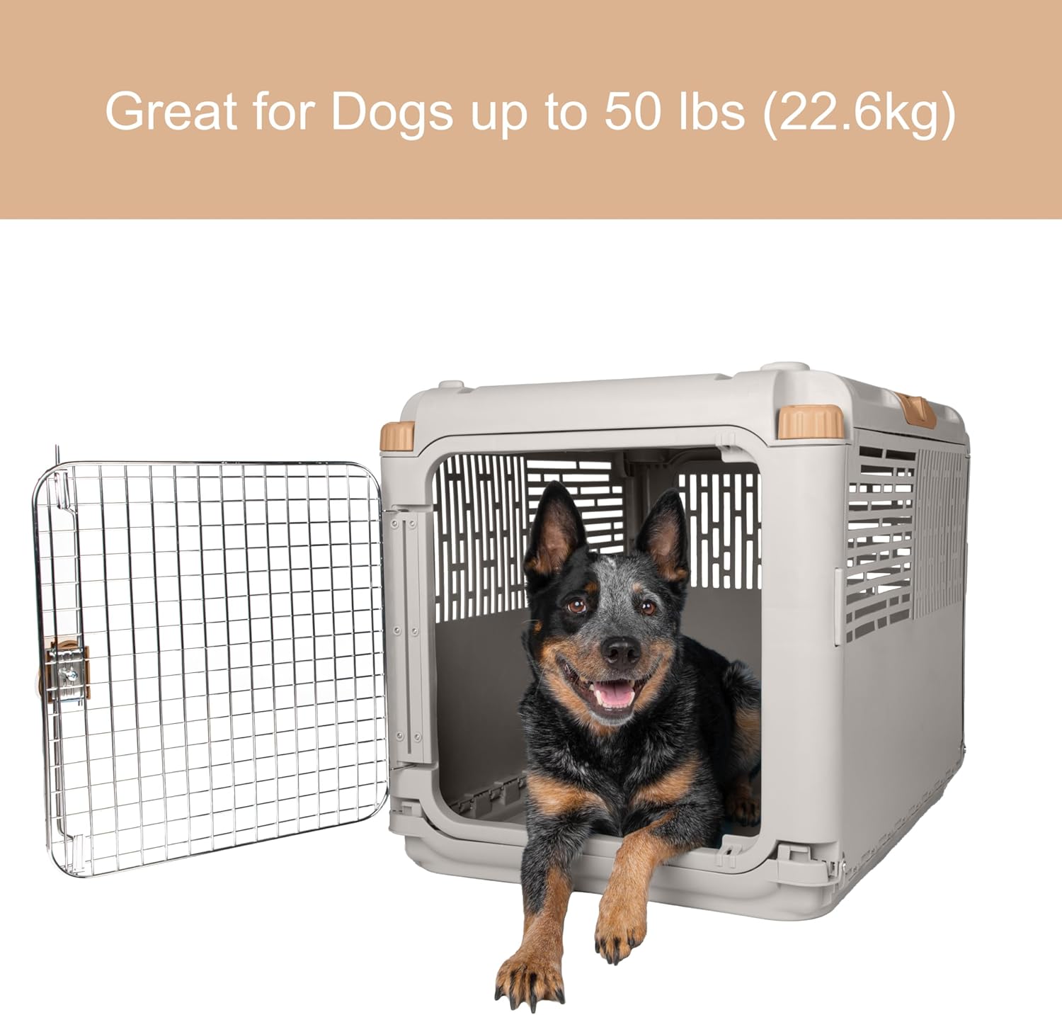 SportPet Designs Collapsible Medium Pet Travel Carrier (Tan), Hard-Sided Kennel for Medium Dogs, Puppies, Cats, Kittens, Animals up to 50lbs, Washable Home & Outdoor Pet Crate, 30.6"L x 22"W x 23.25"H - Image 4
