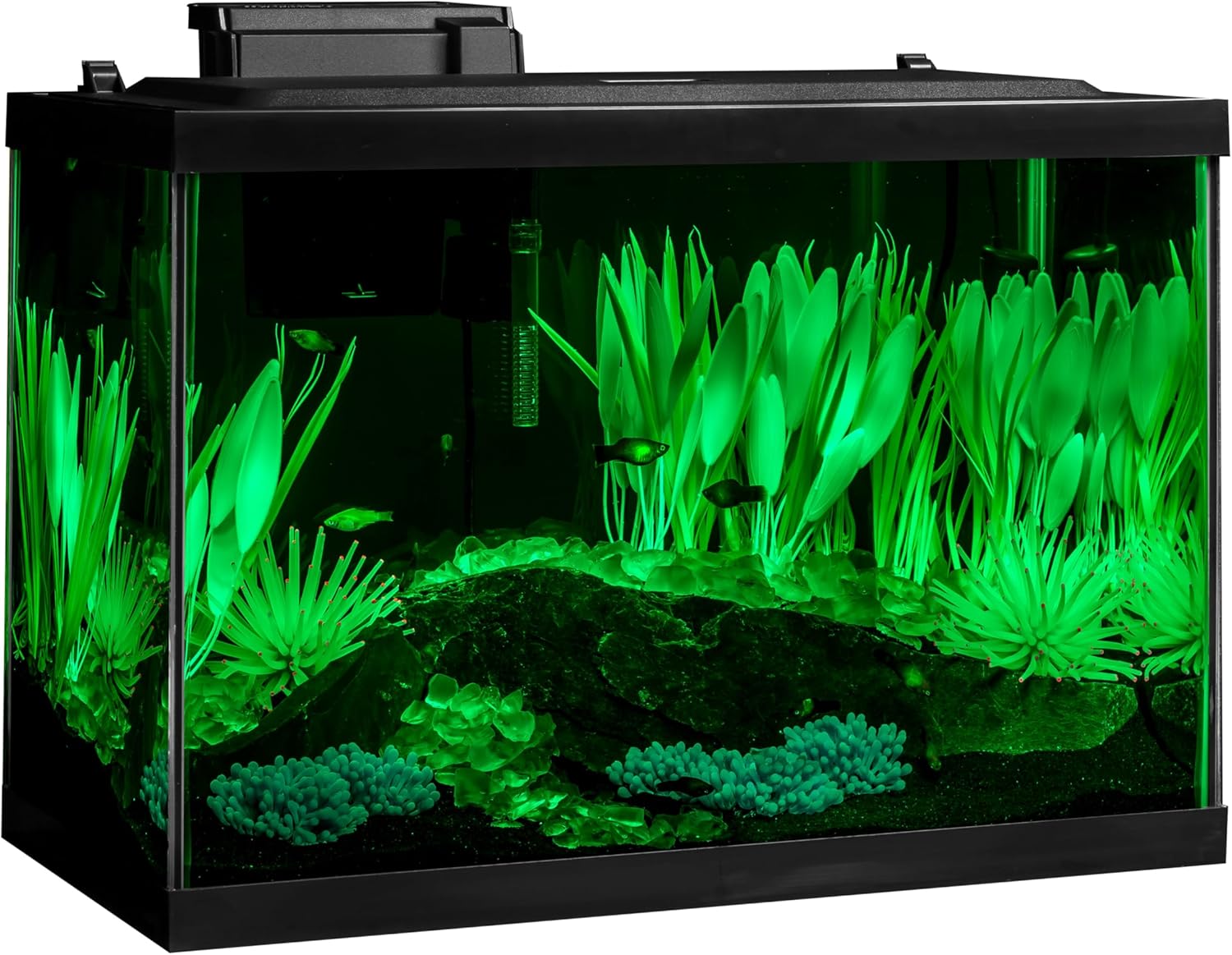 Tetra ColorFusion Aquarium 20 Gallon Fish Tank Kit, Includes LED Lighting and Decor - Image 5