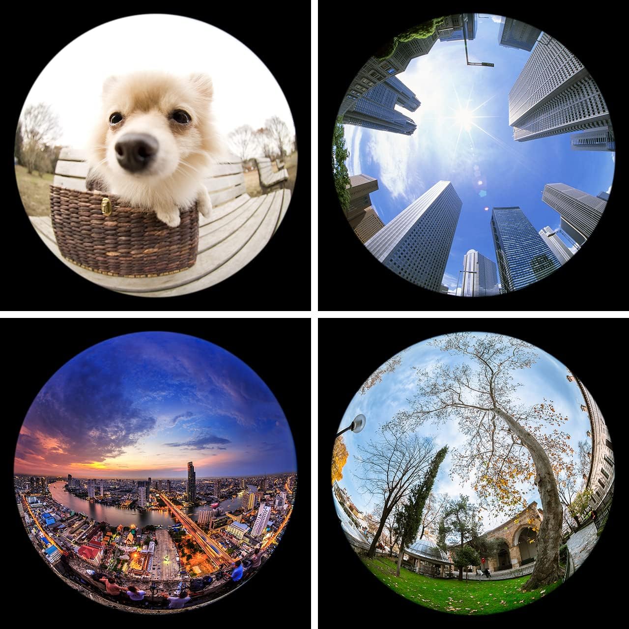 KEYWING Fisheye Lens 198° Fish Eye Phone Camera Lens Kit for iPhone Fish Bowl Camera Lens Attachments for iPhone Samsung Smartphone Black - Image 4
