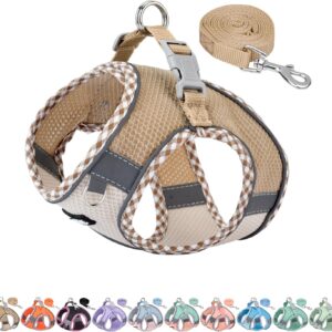 AIITLE Dog Harness and Leash Set – Ultra-Comfortable XXS-XL Vest with Strong Magic Tape & Glow-in-Dark Reflective Strips, Chafe-Free for Teddy, Schnauzer (Brown-Beige, M)