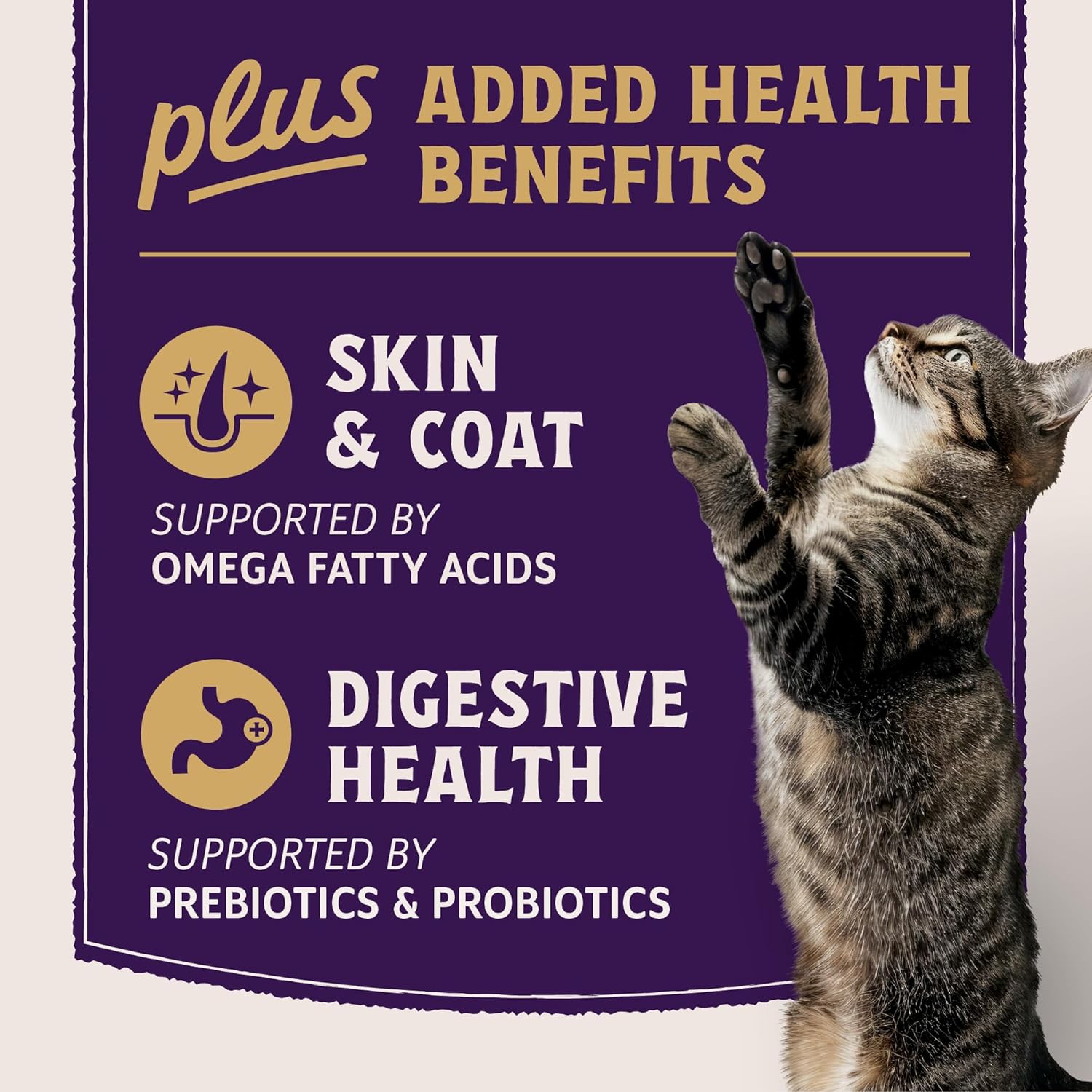 Natural Balance Ultra Protein Plus Dry Cat Food, Skin & Coat and Digestive Health Real Salmon & Chicken Meal Recipe with Chicken Liver & Chicken Heart, High Protein Cat Food for Picky Cats - 5 lbs - Image 7
