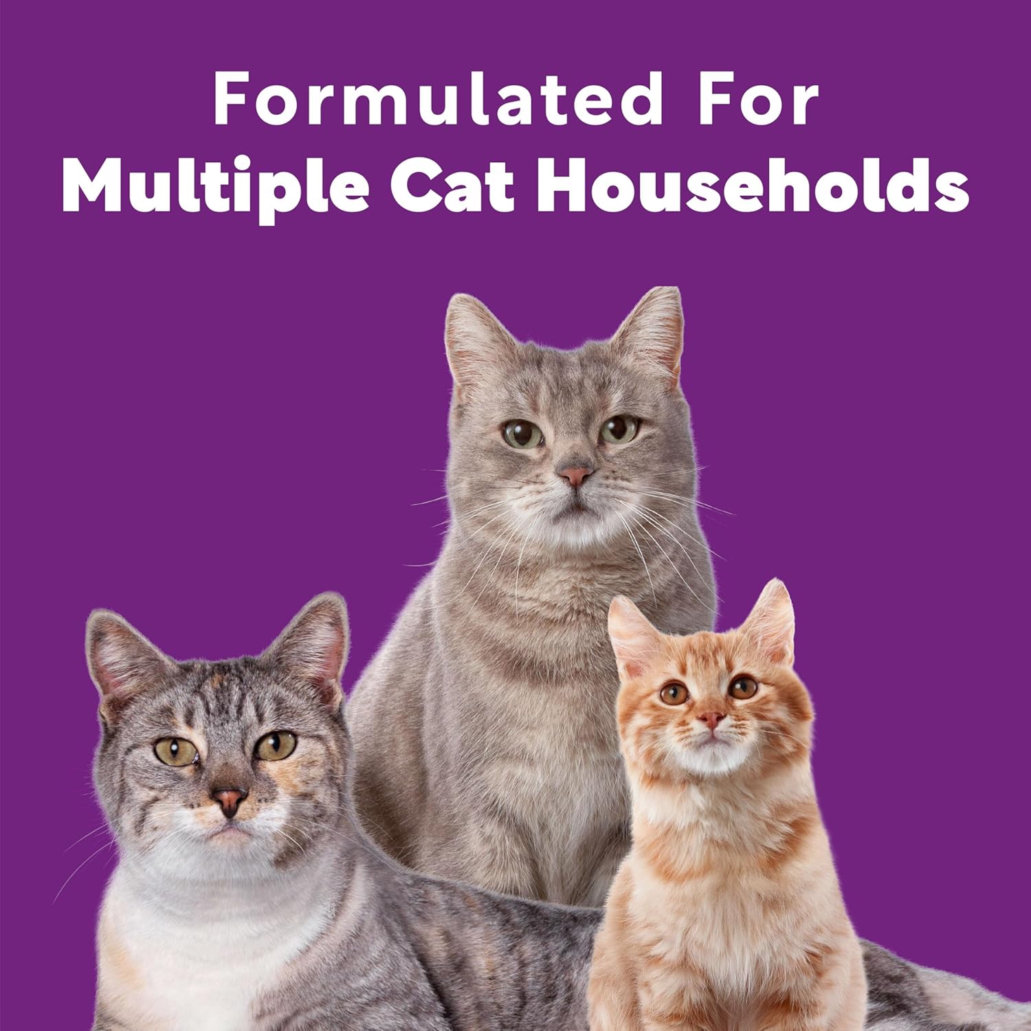Scoop Away Advanced Multi-Cat Clumping Cat Litter, Meadow Fresh Scent, Pack of 2, 18.5 Pounds (Package May Vary) - Image 4