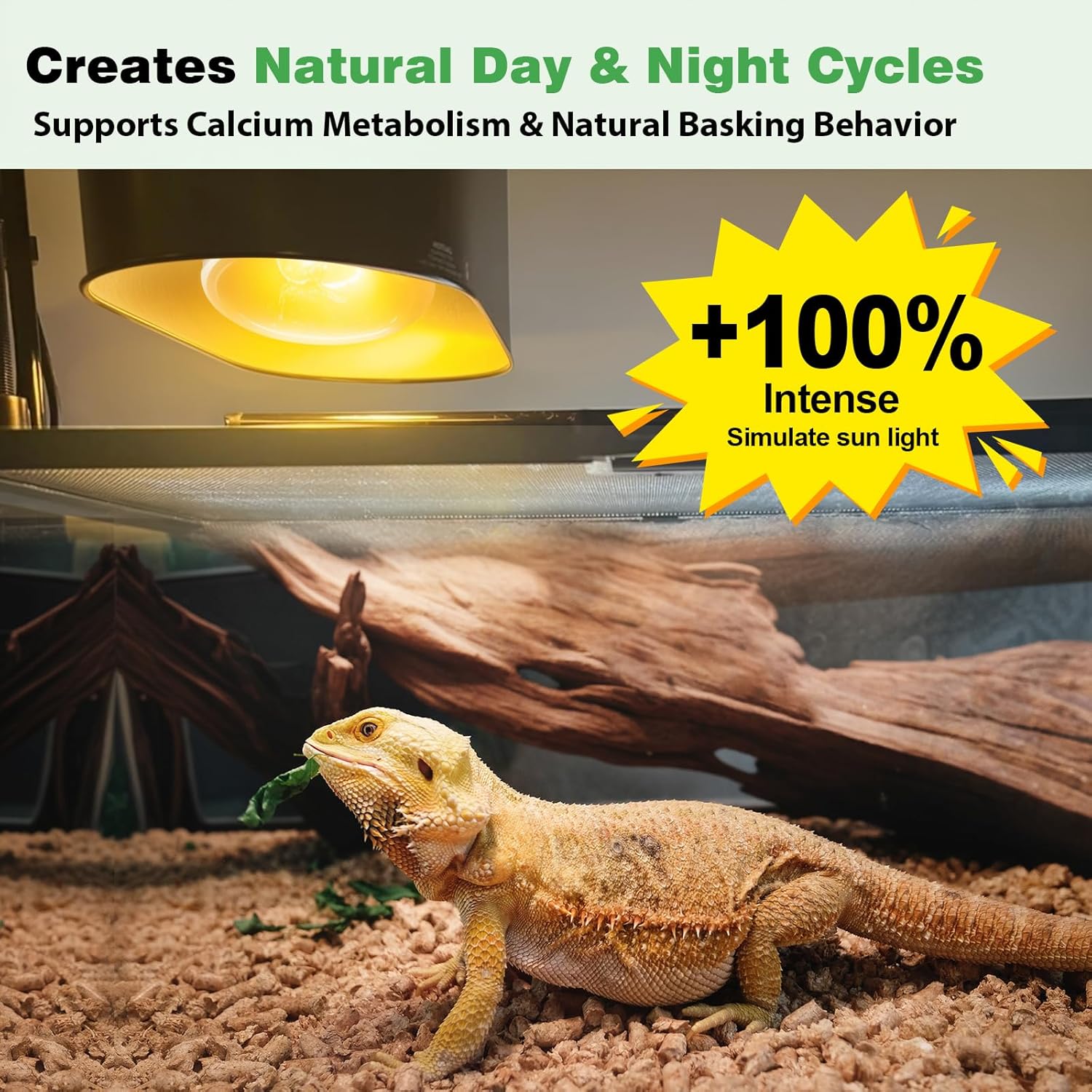 2 Pack 100W Reptile Heat Lamp Bulbs, Full Spectrum UVA/UVB Reptile Light Bulb and Basking Spot Light, UVB Light for Reptiles and Bearded Dragon, Turtle, Lizard, Snake, Amphibians - Image 3