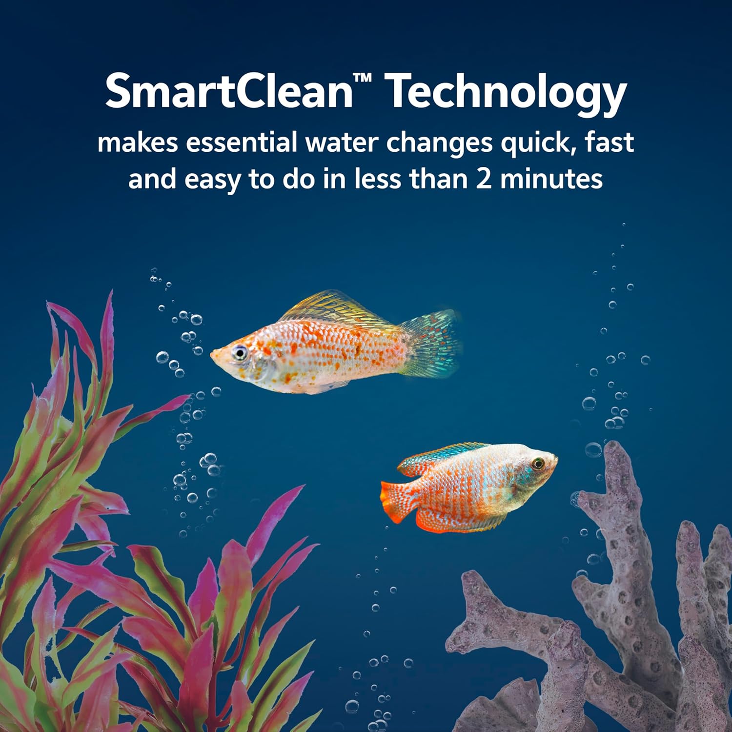 Aqueon LED MiniBow Small Aquarium Fish Tank Kit with SmartClean Technology, Black, 5 Gallon - Image 6