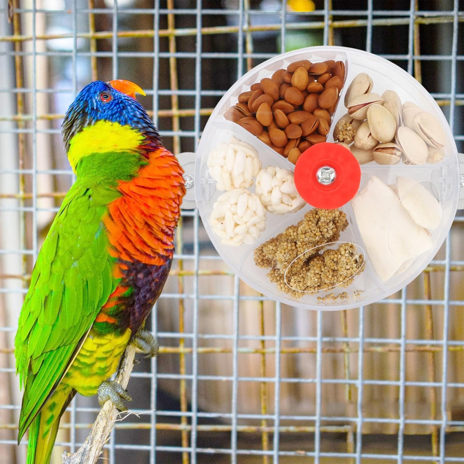 Bird Creative Foraging System Wheel Seed Food Ball Rotate Training Toy for Small and Medium Parrots Parakeet Cockatiel Conure (Clear) - Image 5