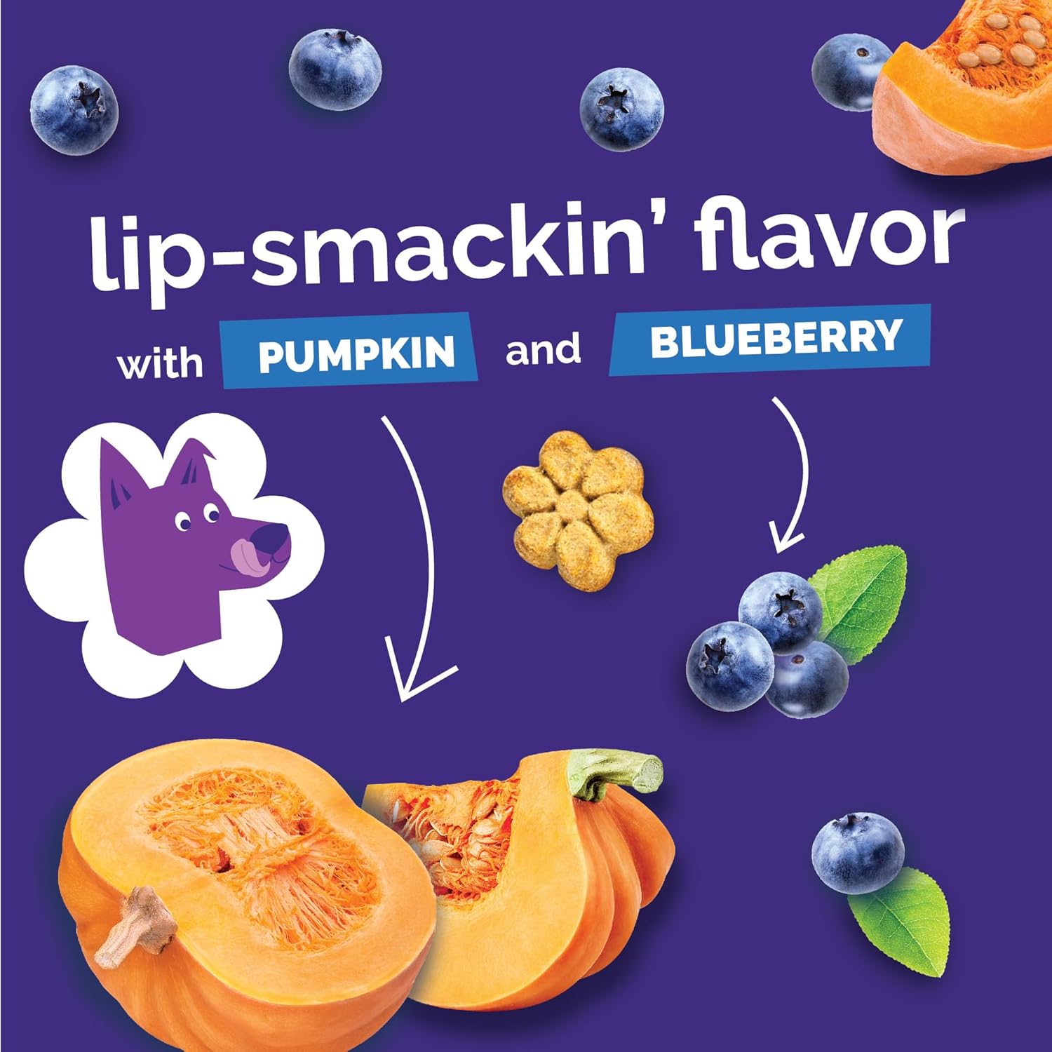 Fruitables Baked Dog Treats, Healthy Pumpkin Treat for Dogs, Low Calorie & Delicious, No Wheat, Corn or Soy, Made in the USA, Pumpkin and Blueberry Flavor, 12oz - Image 8