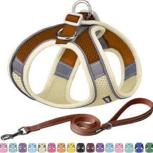 AIITLE No Pull Dog Harness and Leash Set, Step in Adjustable Dog Harness with Padded Vest for All Weather, Dog Leash with Soft Padded Handle, Easy to Put on Small and Medium Dogs Beige S