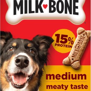 Milk-Bone Original Dog Treats Biscuits for Medium Dogs, 24 Ounces (Packaging May Vary)