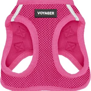 Best Pet Supplies Voyager Step-in Air Harness – All Weather Mesh, Reflective, No Pull Harness for Dogs, Cats – Secure with Hook & Loop Fastener, Buckle, Double D-Rings – Fuchsia, S