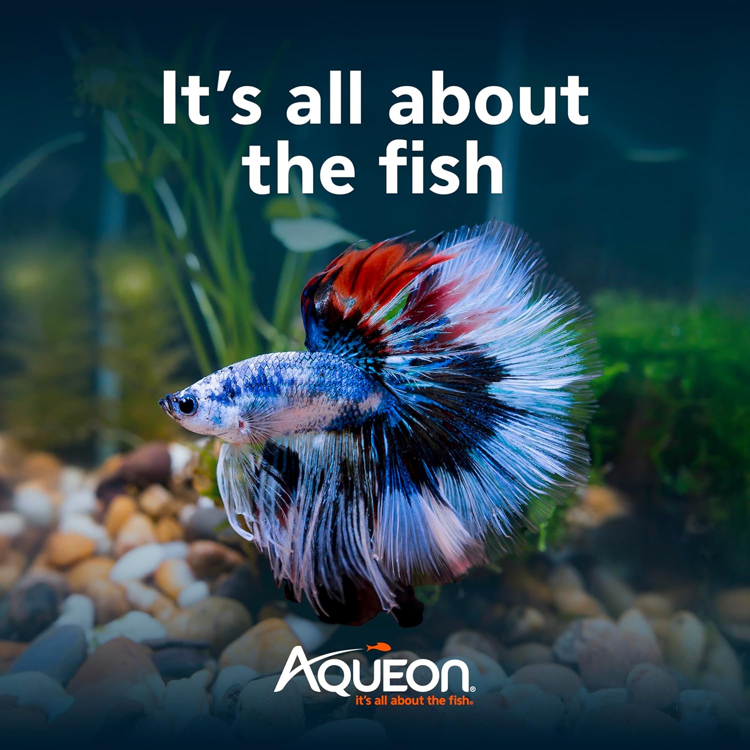Aqueon LED MiniBow Small Aquarium Fish Tank Kit with SmartClean Technology, Black, 5 Gallon - Image 8
