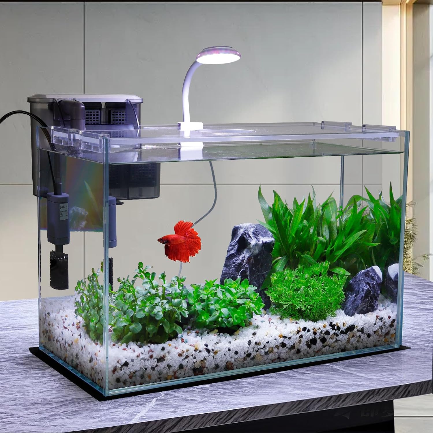 Vimvins 5 Gallon Glass Small Fish Tank with Filter Light and Lid, Betta Aquarium Starter Kits - Image 4
