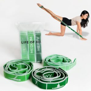 Stretching Strap Set of 3, Stretch Straps with Loops for Yoga, Pilates, Dance, Physical Therapy, 3 Resistance Bands, Stretch Bands for Exercise, Flexibility, Yoga Straps for Stretching
