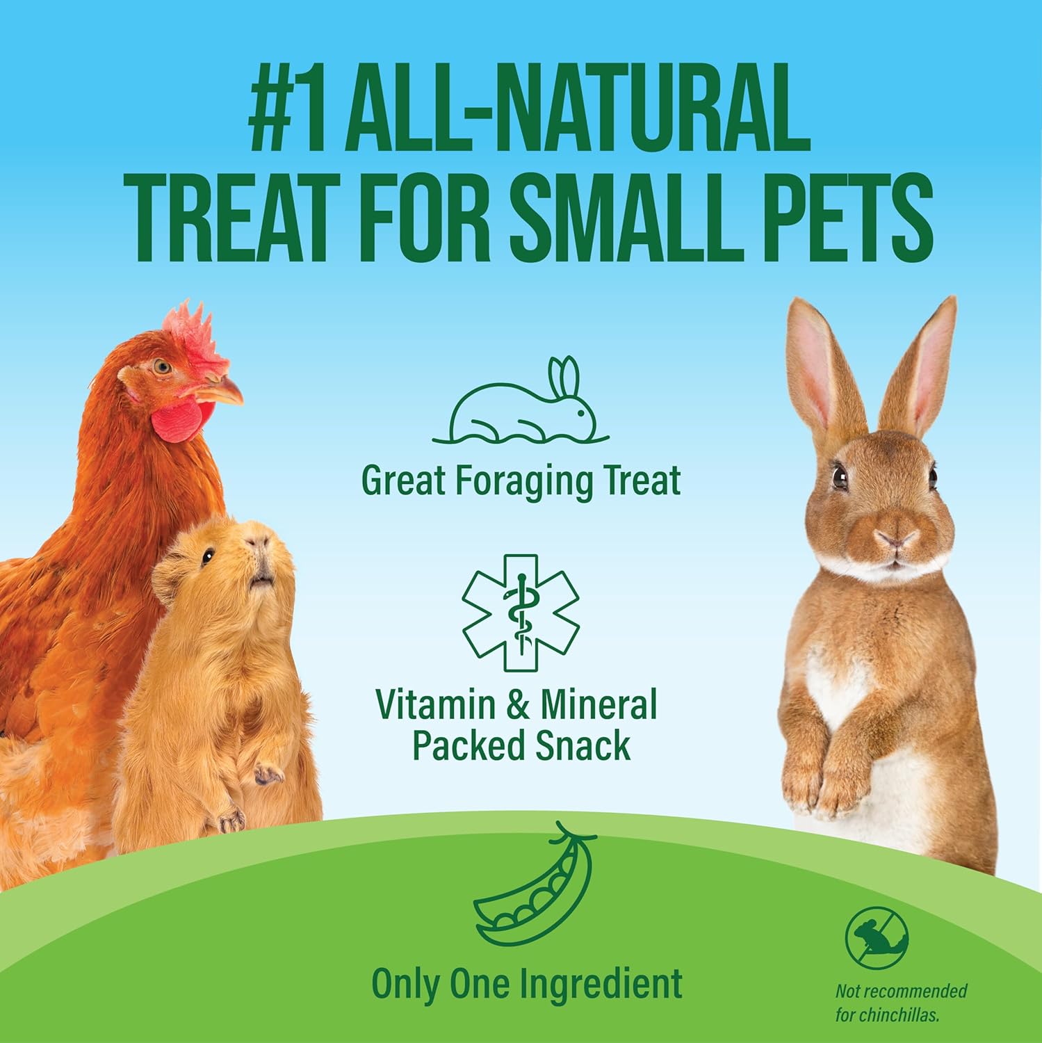 Small Pet Select - Pea Flakes, Treats for Rabbit Bunny, Guinea Pig, Chickens, Bunny, Hamster, and Other Small Pets, 1 lb - Image 2