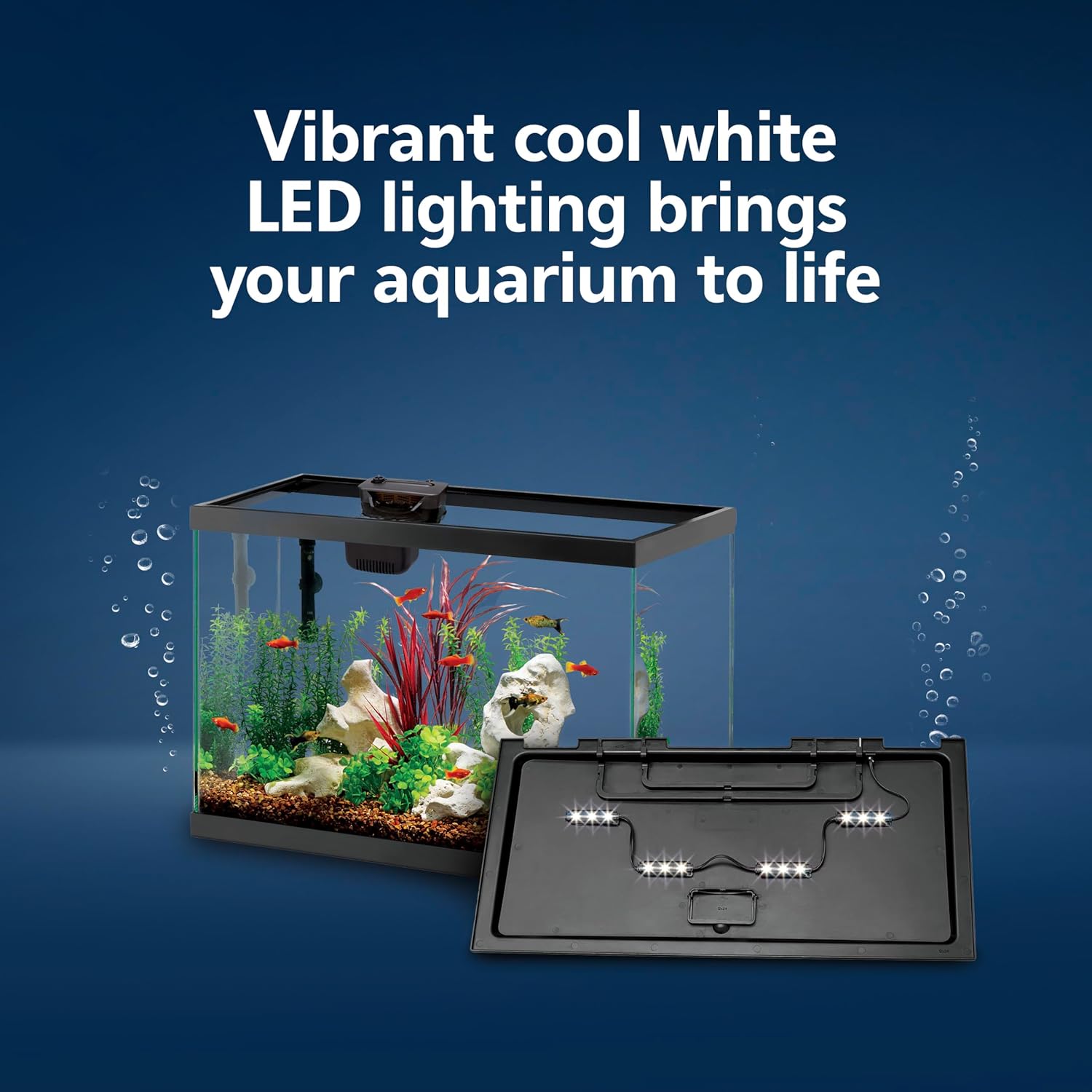 Aqueon Aquarium Starter Kit with Smart Clean Filtration and LED Lighting, Freshwater and Saltwater Fish, 20-Gallon - Image 4