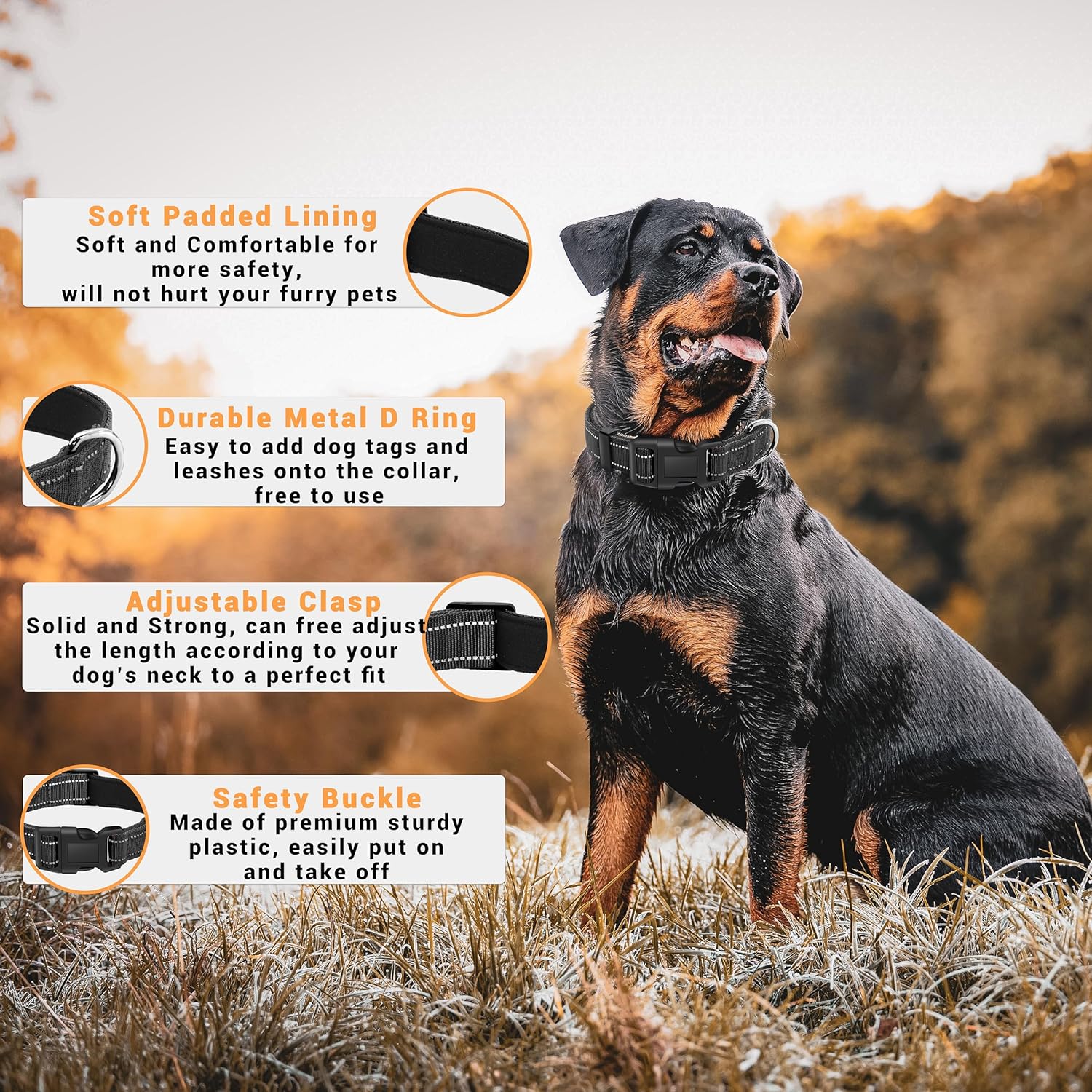 2 Pack Reflective Dog Collar with Safety Locking Buckle, Adjustable Soft Breathable Comfortable Nylon Pet Collar for Small, Medium and Large Dogs, Black, M - Image 2