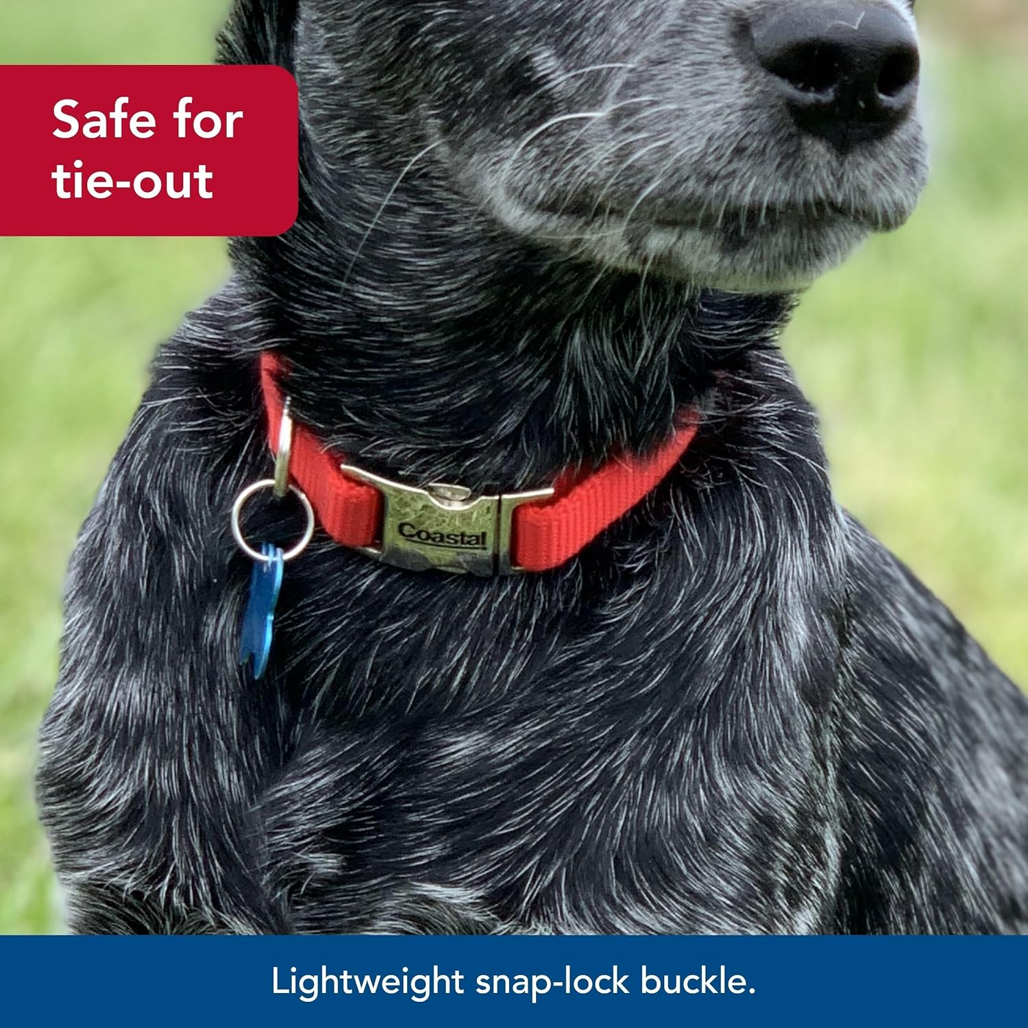 Coastal Pet Adjustable Dog Collar with Metal Buckle - Comfortable Fade-Resistant Dog Collar with Snap Lock - Perfect for Walking & Tie Outs - Red - 3/4" x 14" - 20" - Image 4