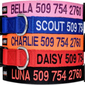 GoTags Personalized Dog Collar, Custom Embroidered with Pet Name and Phone Number in Blue, Black, Pink, Red and Orange, for Boy and Girl Dogs or Cats, Adjustable Sizes, Small, Medium, and Large
