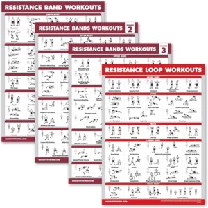Palace Learning 4 Pack – Resistance Bands Workout Exercise Posters Volume 1, 2 & 3 + Resistance Loops Fitness Chart (LAMINATED, 18″ x 24″)