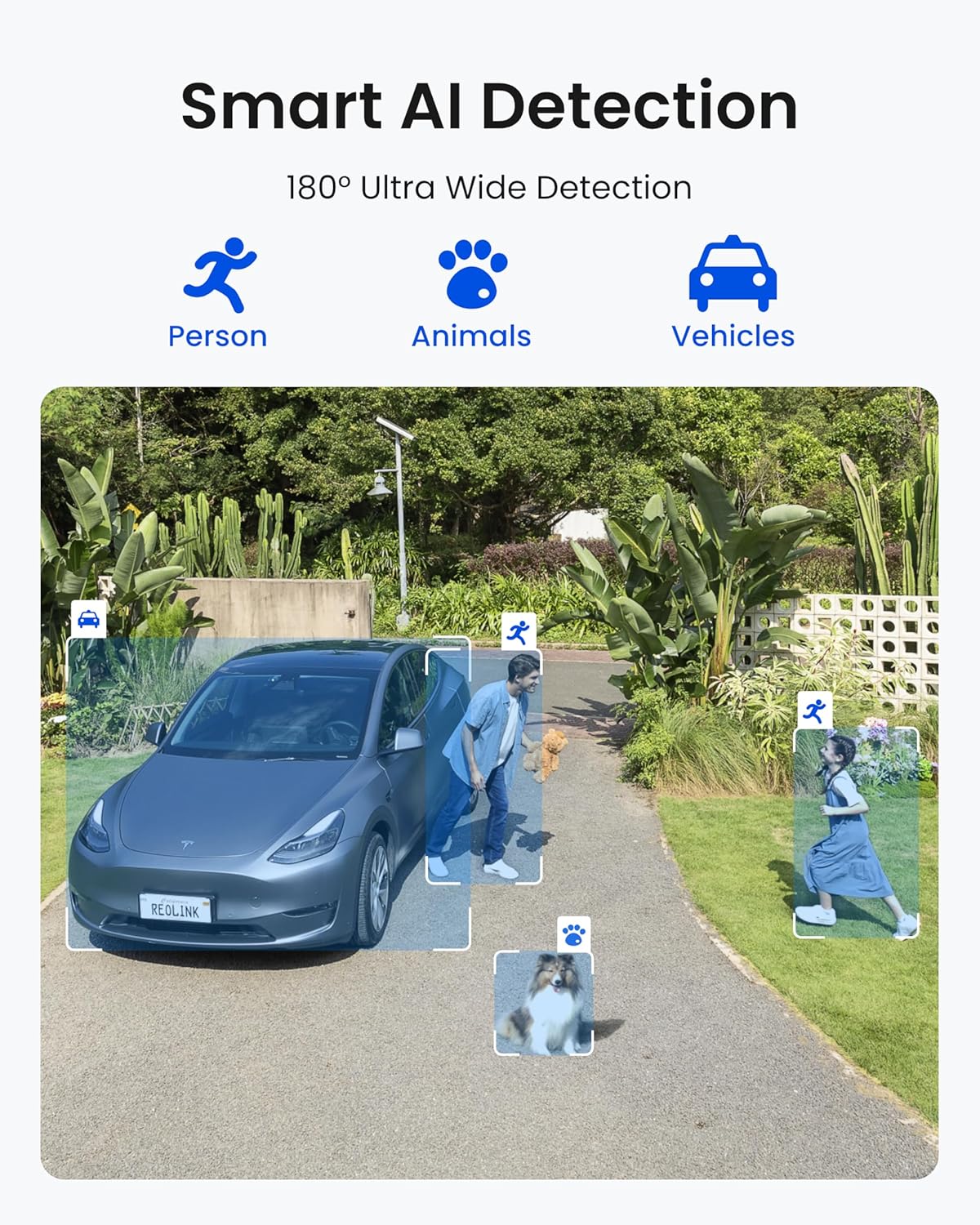 REOLINK 4K Dual-Lens 180° Outdoor Wireless Security Camera, ColorX Night Vision, Solar Cameras with Local Encrypted Storage, 5G/2.4GHz WiFi 6, No Subscription, Home Hub with 2X Argus 4 Pro - Image 6