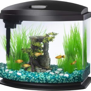 Aqueon LED MiniBow Small Aquarium Fish Tank Kit with SmartClean Technology, Black, 5 Gallon