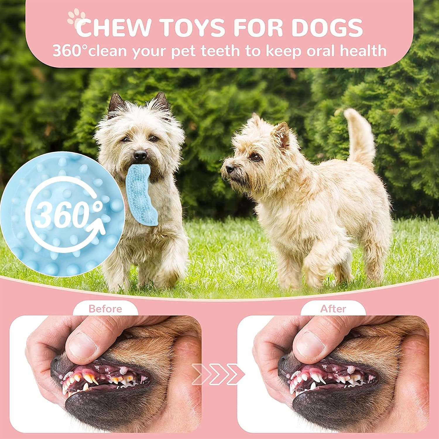 6 Pack Pet Dog Puppy Chew Toys for Teething Small Dogs,Soft Natural Rubber Blue Interactive Dog Puppy Toys Fun Cleaning Squeaky,Funny Dog Chew Toys for Small Medium Breed - Image 4