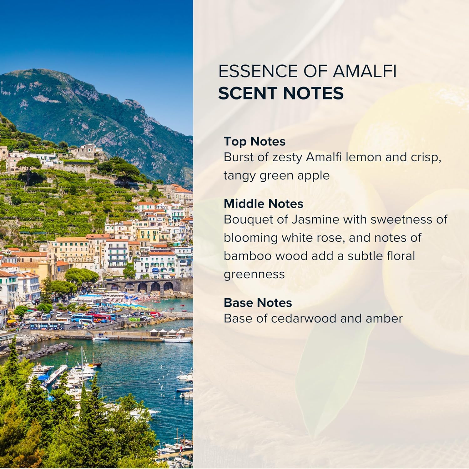 Anthology Essence of Amalfi Roll on Perfume Oil for Women 0.3oz 9 ML | Citrus, Green Apple, Jasmine & Cedarwood | Alcohol-Free, Travel size Rollerball Fragrance - Image 3