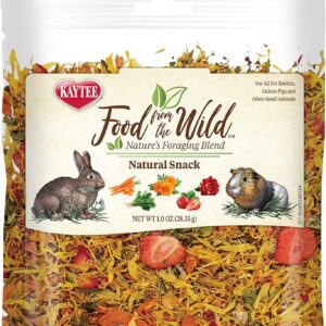 Kaytee Food from The Wild Natural Snack for Pet Rabbits, Guinea Pigs And Other Small Animals, 1 Ounce
