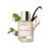 Dossier – Woody Oakmoss – Eau de Parfum – Perfume Luxury – Pure Infused – Paraben-Free – Vegan – For Women – Fragrance 1.7 Fl oz (Spray 50ml)