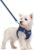rabbitgoo Dog Harness Small Sized and Leash Set, Step in Soft Light Puppy Vest, Breathable Mesh Pet Harness, Reflective for Safe Outdoor Walking, Navy Blue S