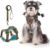 Small Dog Harness and Leash Set, Breathable Mesh Puppy Harness, Adjustable Dog Harness for Small Medium Large Dogs, No-Pull Pet Harness for Daily Walking (Lakeblue, Small)