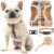 EXPAWLORER Plaid Small Dog Harness and Leash Set with AirTag Holder – No Pull Soft Padded Step in Dog Vest Harness Medium Sized Dog, Reflective Puppy Harness, Collar and Leash for Walking, Khaki S